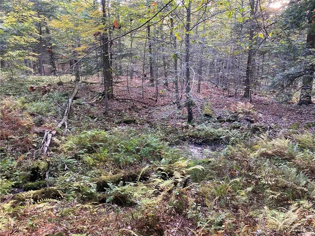 $89,900 | Voorhees Road, Parish, NY 13131