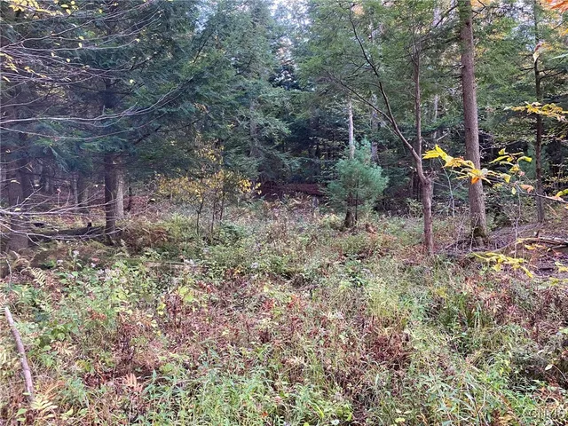 $89,900 | Voorhees Road, Parish, NY 13131