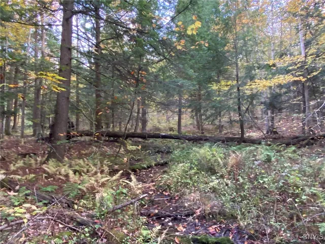 $89,900 | Voorhees Road, Parish, NY 13131