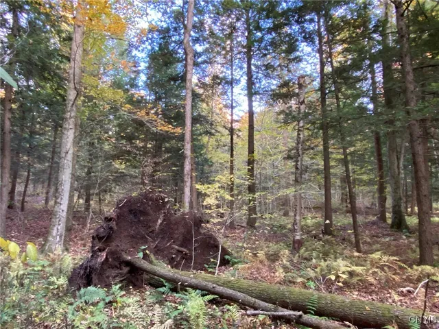 $89,900 | Voorhees Road, Parish, NY 13131