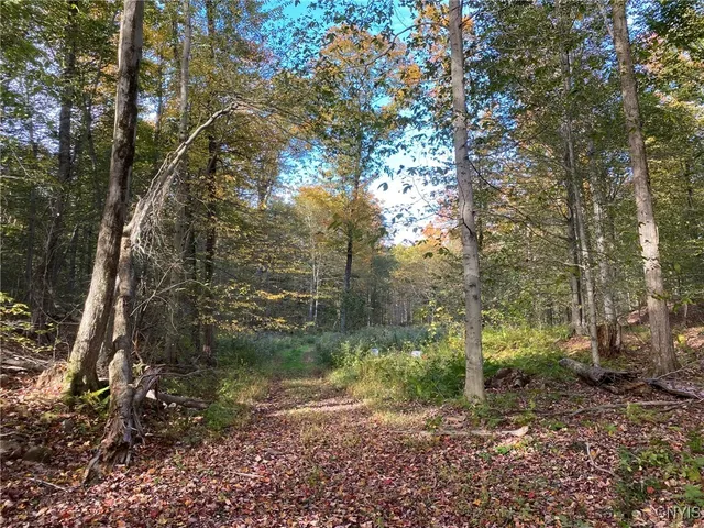 $89,900 | Voorhees Road, Parish, NY 13131