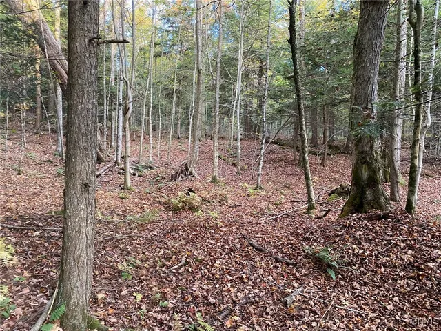 $89,900 | Voorhees Road, Parish, NY 13131