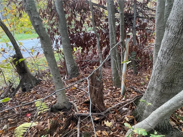 $89,900 | Voorhees Road, Parish, NY 13131