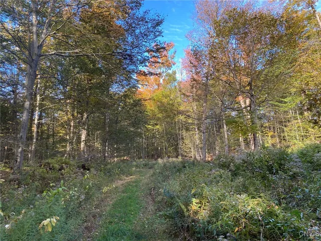 $89,900 | Voorhees Road, Parish, NY 13131