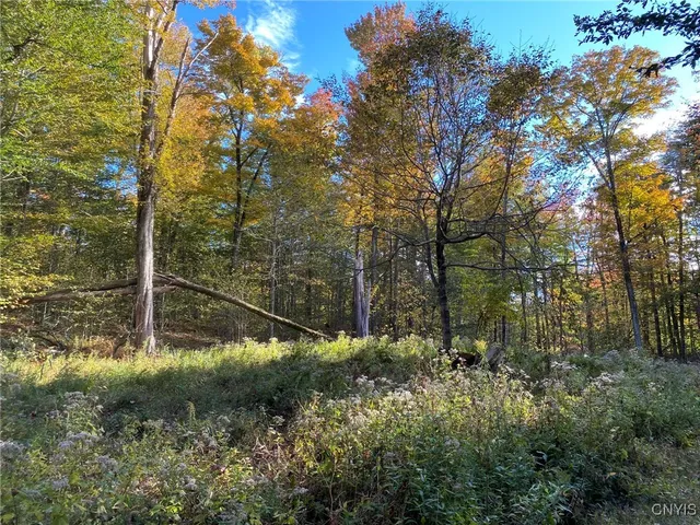 $89,900 | Voorhees Road, Parish, NY 13131