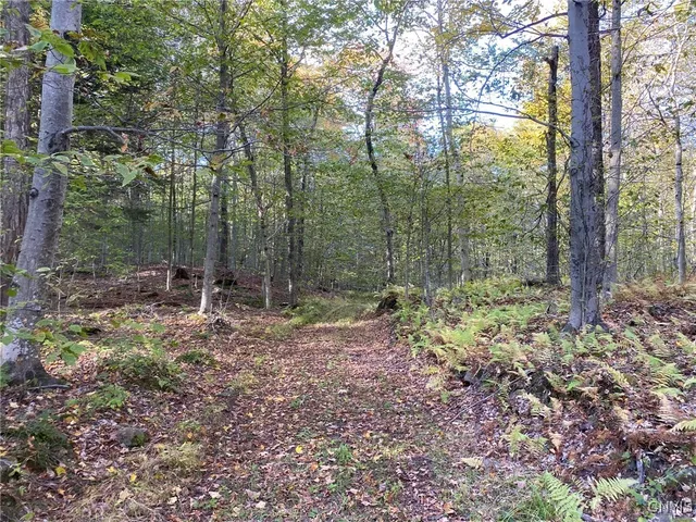 $89,900 | Voorhees Road, Parish, NY 13131