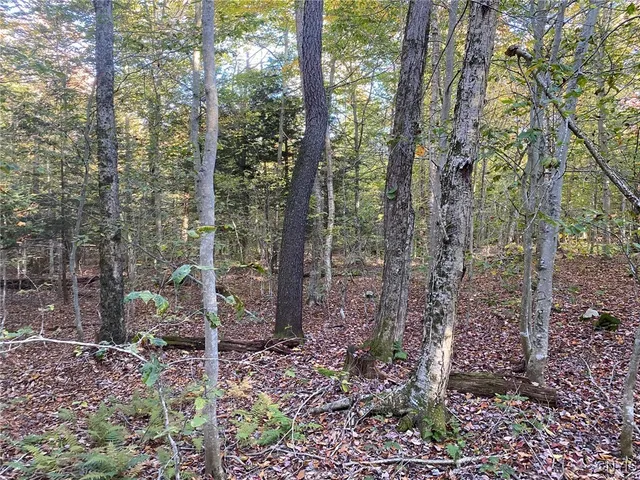 $89,900 | Voorhees Road, Parish, NY 13131