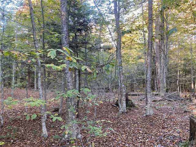 $89,900 | Voorhees Road, Parish, NY 13131