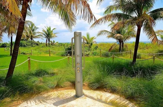 a view of a two chairs in the garden