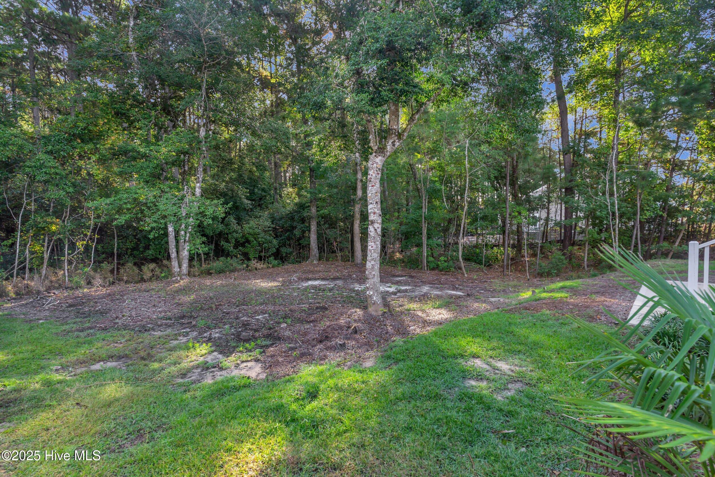 547 Moss Lake Lane Holly Ridge, NC 28445 - Photo 46 of 89 44_547 moss lake ln-00044