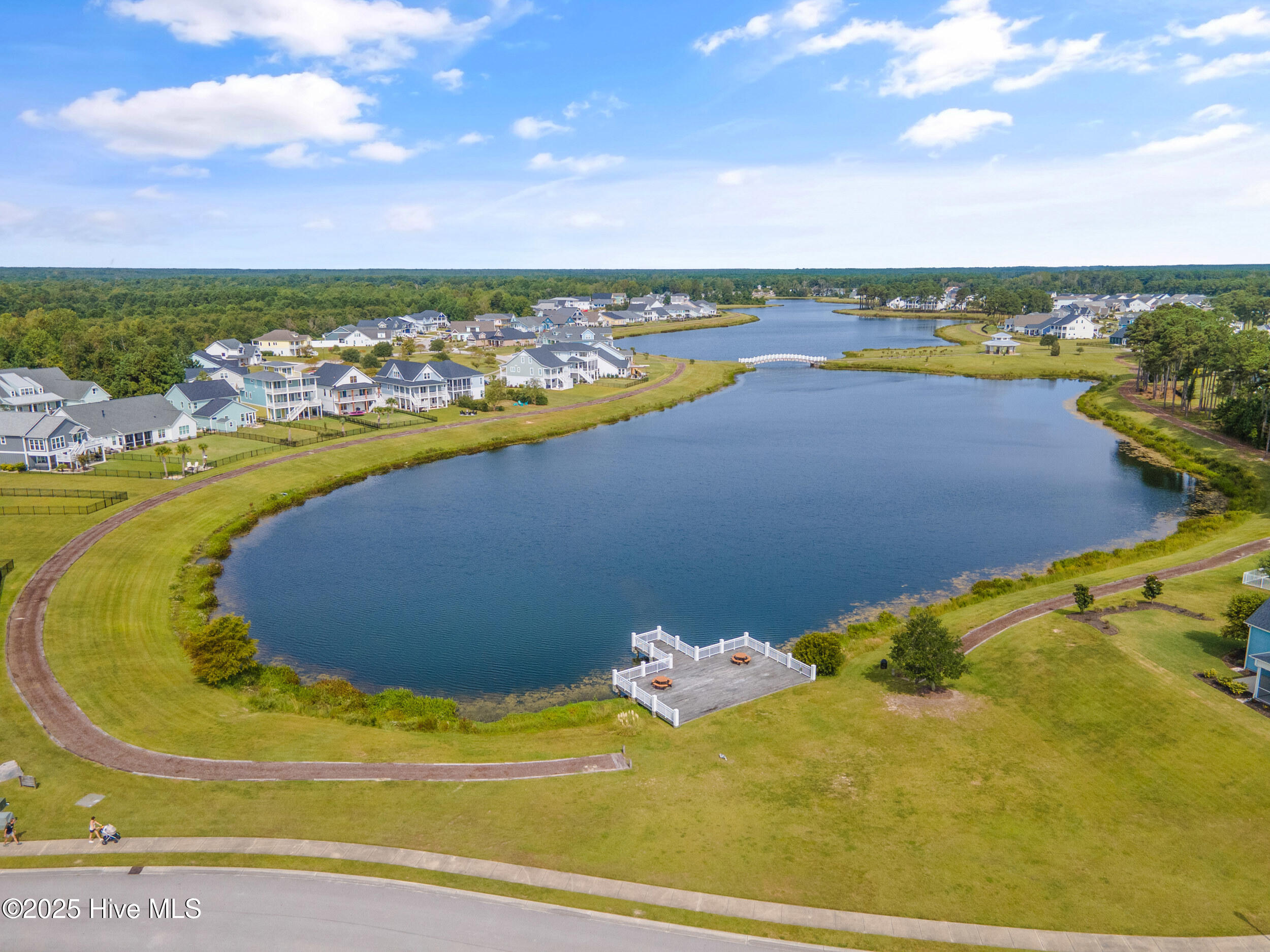 547 Moss Lake Lane Holly Ridge, NC 28445 - Photo 79 of 89 Spicer Lake