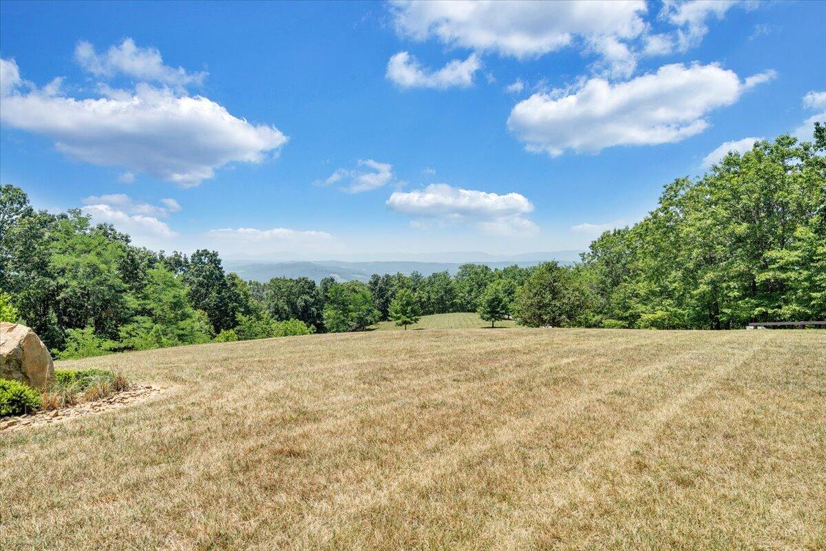 890 Blain Road Buchanan, VA 24066 - Photo 66 of 89 64-MIB03805