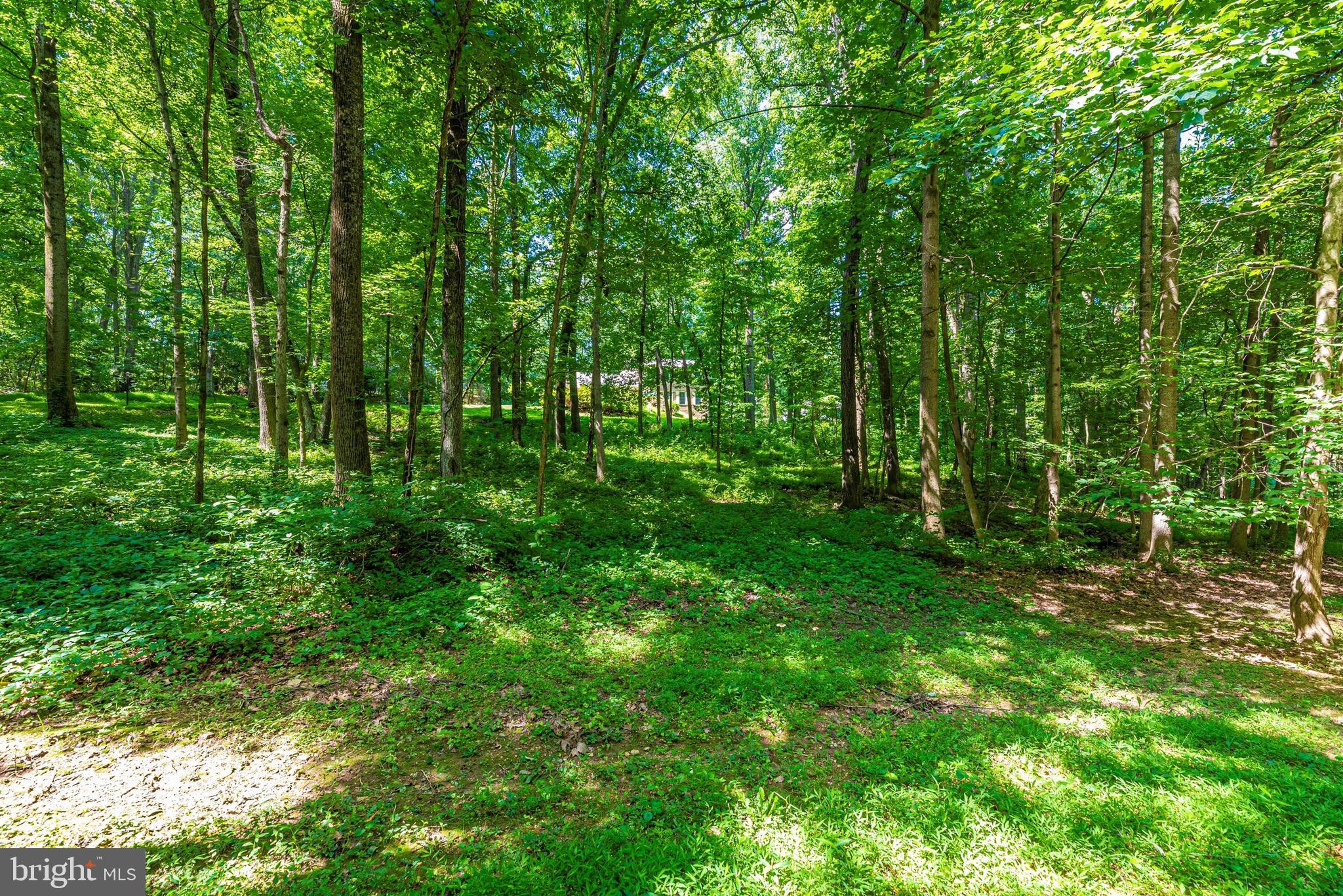 11789 Thomas Spring Road Monrovia, MD 21770 - Photo 73 of 73 Gallery Image 73