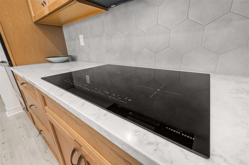 1849 Island Village Way Celebration, FL 34747 - Photo 12 of 50 a close view of roof