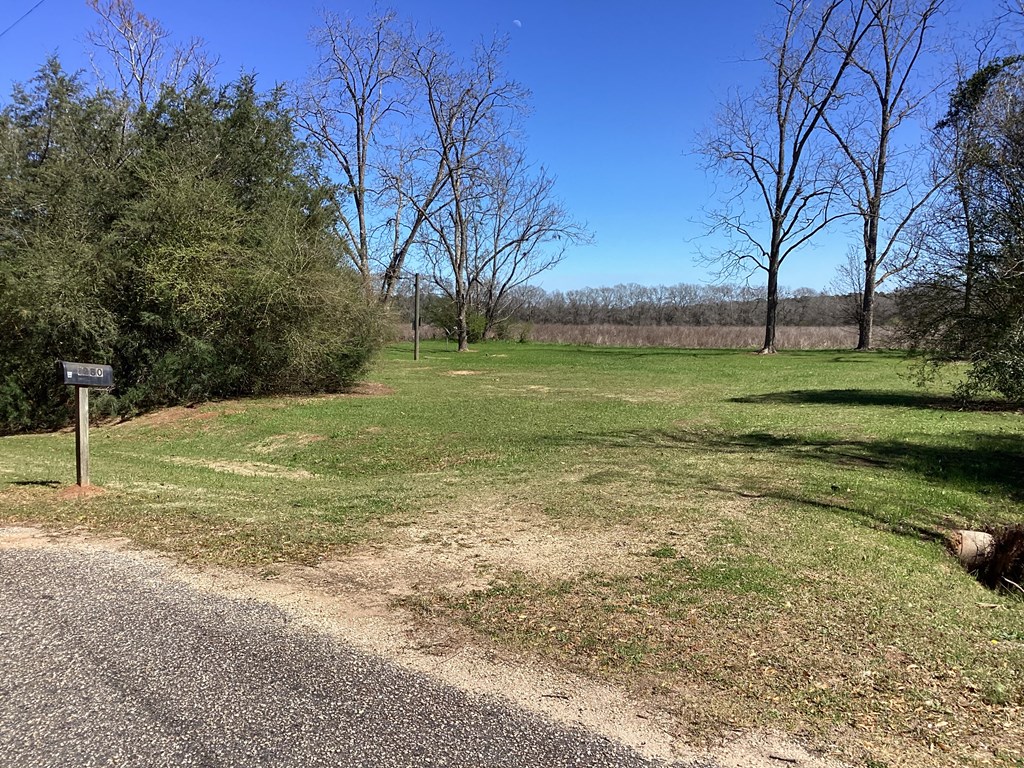 0 Benton Store Road Columbia, AL 36319 - Photo 3 of 24