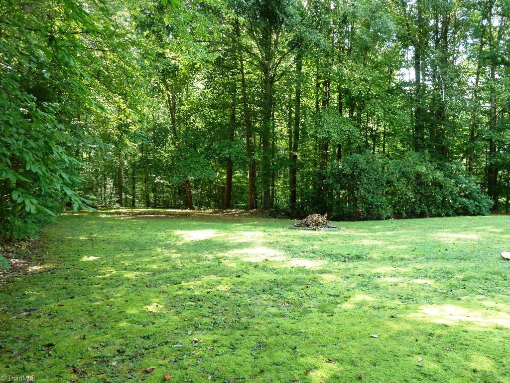 142 Jack Young Road Lexington, NC 27292 - Photo 29 of 30 Back yard