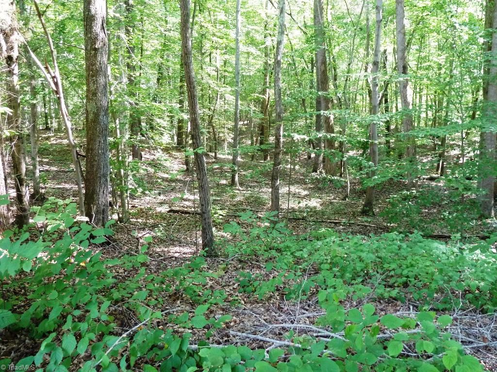 142 Jack Young Road Lexington, NC 27292 - Photo 30 of 30 Wooded view