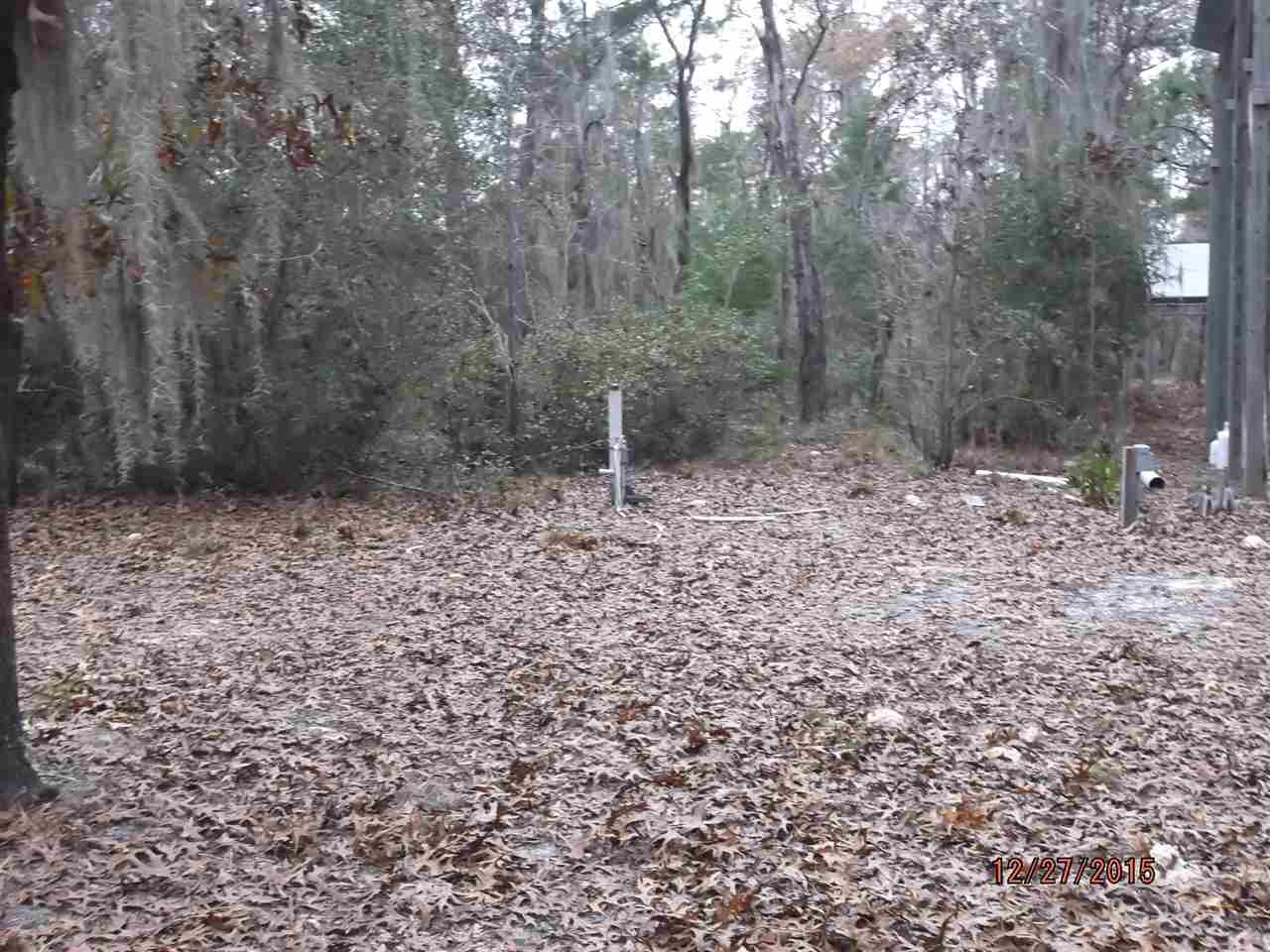 17542 Jody Morgan Road Perry, FL 32348 - Photo 1 of 17 Gallery Image 1