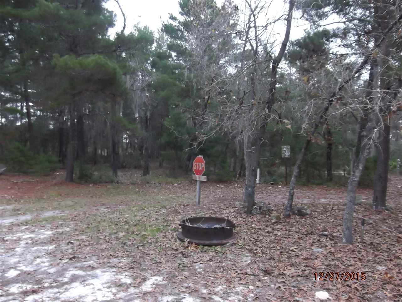 17542 Jody Morgan Road Perry, FL 32348 - Photo 16 of 17 Gallery Image 16