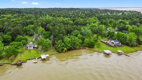 a view of a backyard with plants and large trees