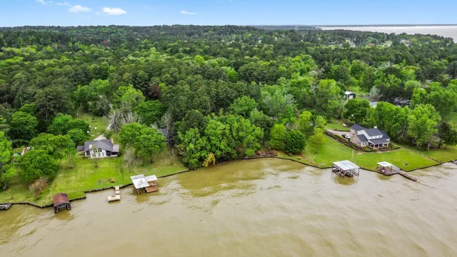 a view of a backyard with plants and large trees