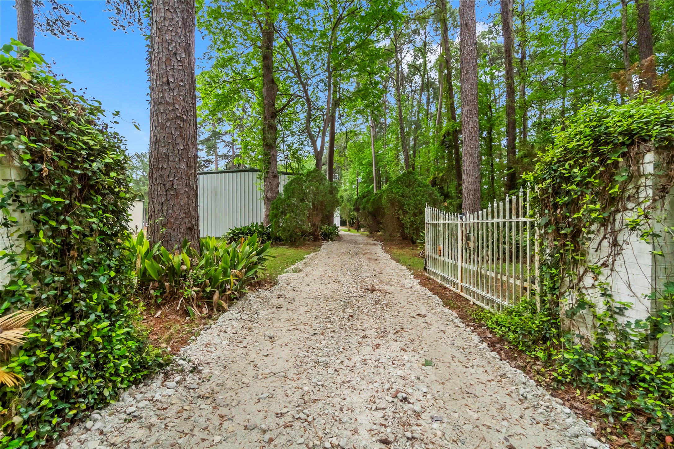 200 Johnson Road Coldspring, TX 77331 - Photo 4 of 49 a view of a backyard with plants and large trees