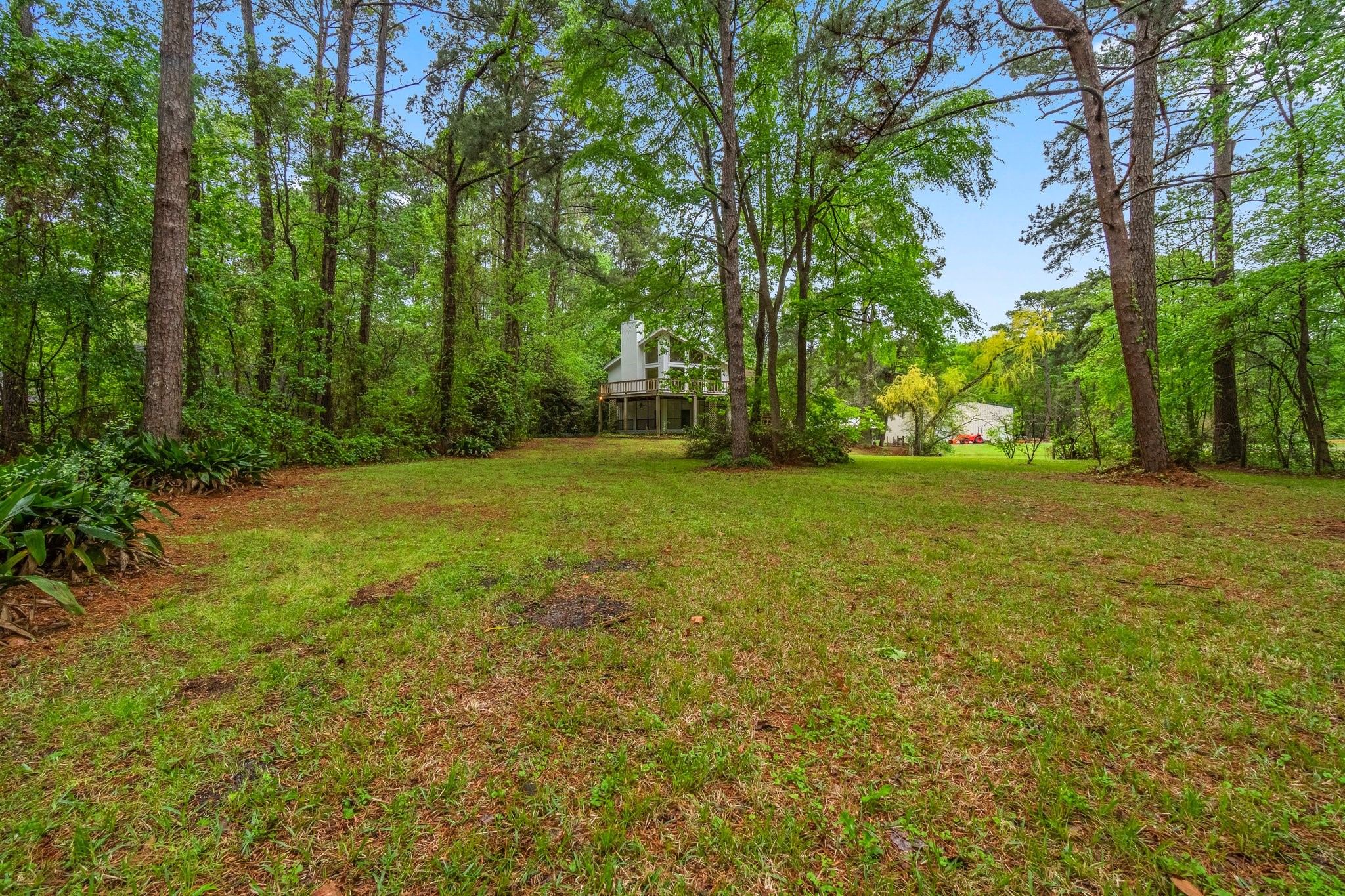 200 Johnson Road Coldspring, TX 77331 - Photo 43 of 49 a view of a field with trees in front of it