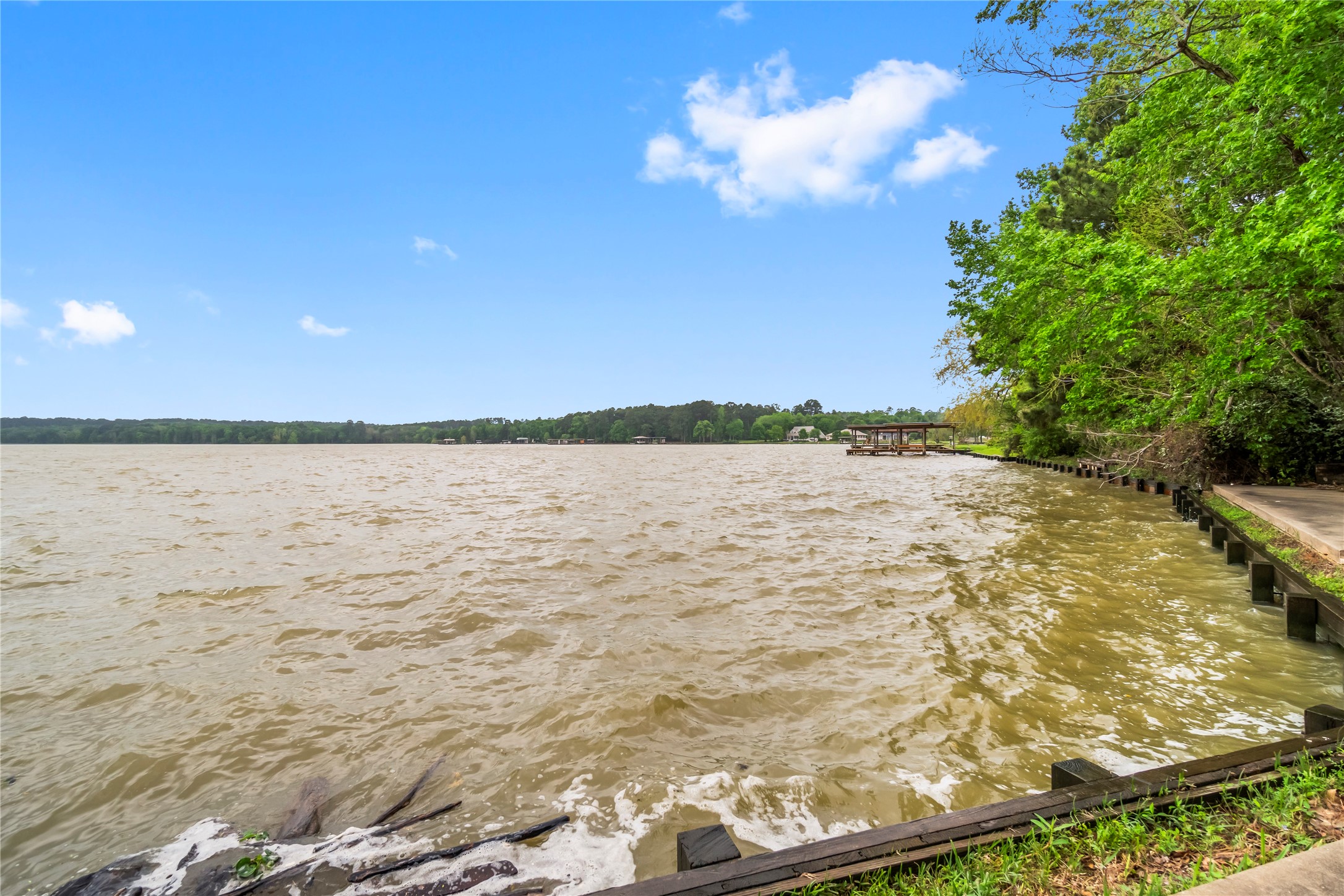 200 Johnson Road Coldspring, TX 77331 - Photo 45 of 49 a view of lake
