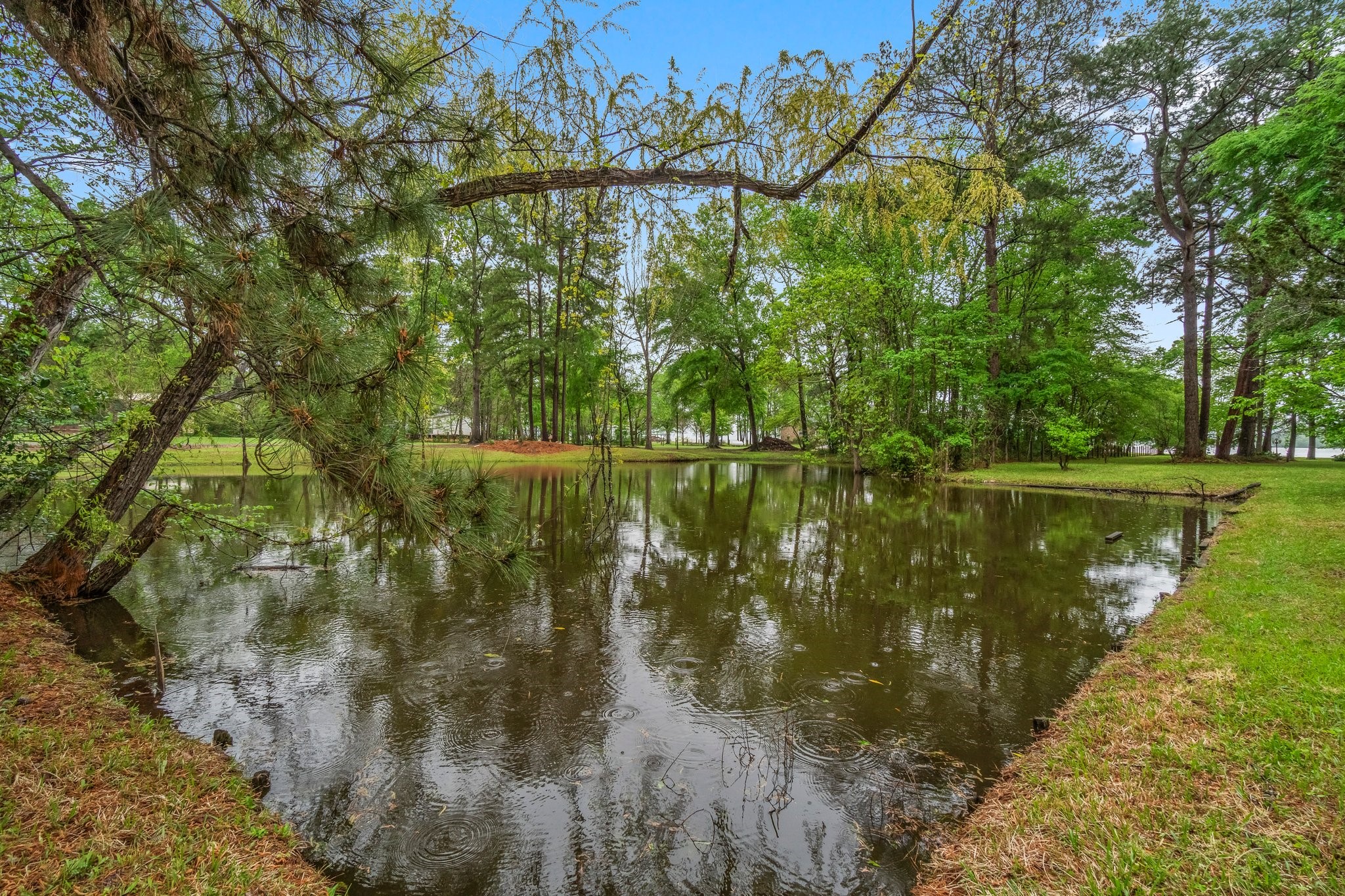 200 Johnson Road Coldspring, TX 77331 - Photo 8 of 49 a view of lake with a yard