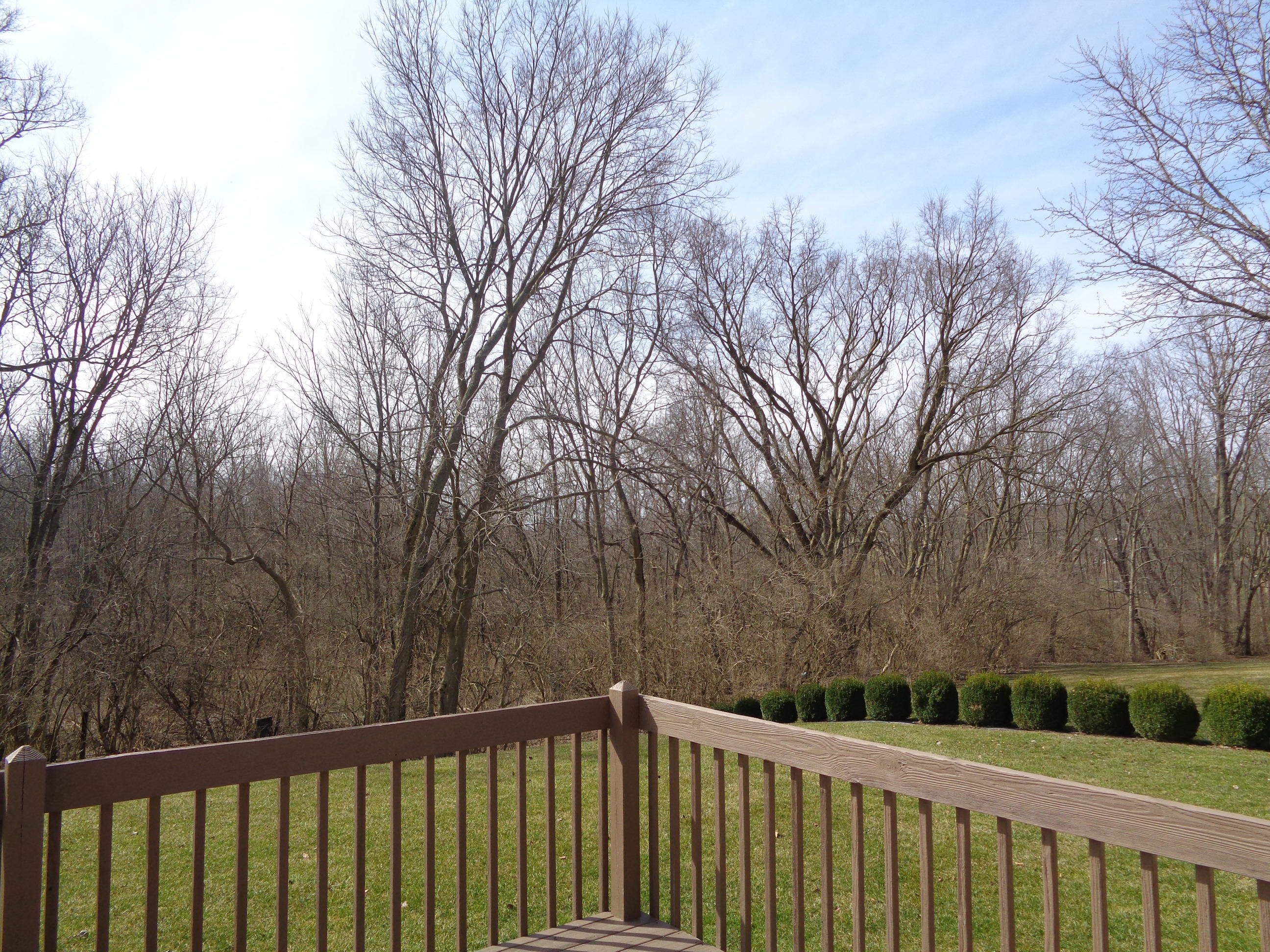 1283 Ryan Road Springfield, OH 45503 - Photo 33 of 39