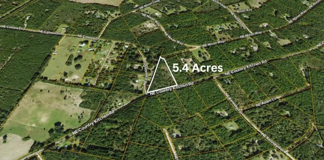 $56,000 | 0 Northeast Nixon Place, Madison, FL 32340