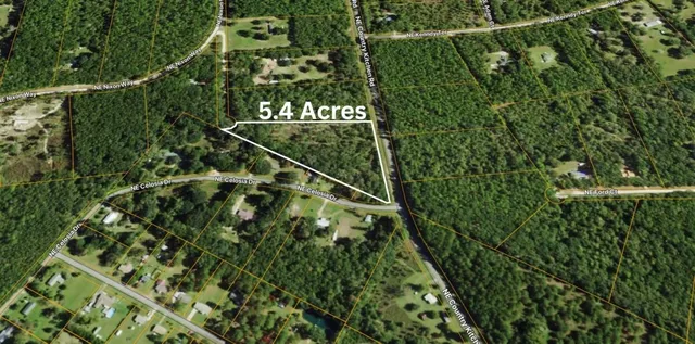 $56,000 | 0 Northeast Nixon Place, Madison, FL 32340