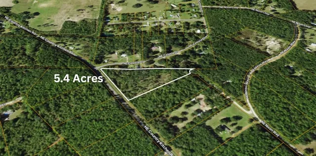 $56,000 | 0 Northeast Nixon Place, Madison, FL 32340