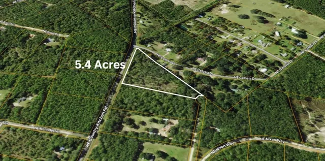 $56,000 | 0 Northeast Nixon Place, Madison, FL 32340