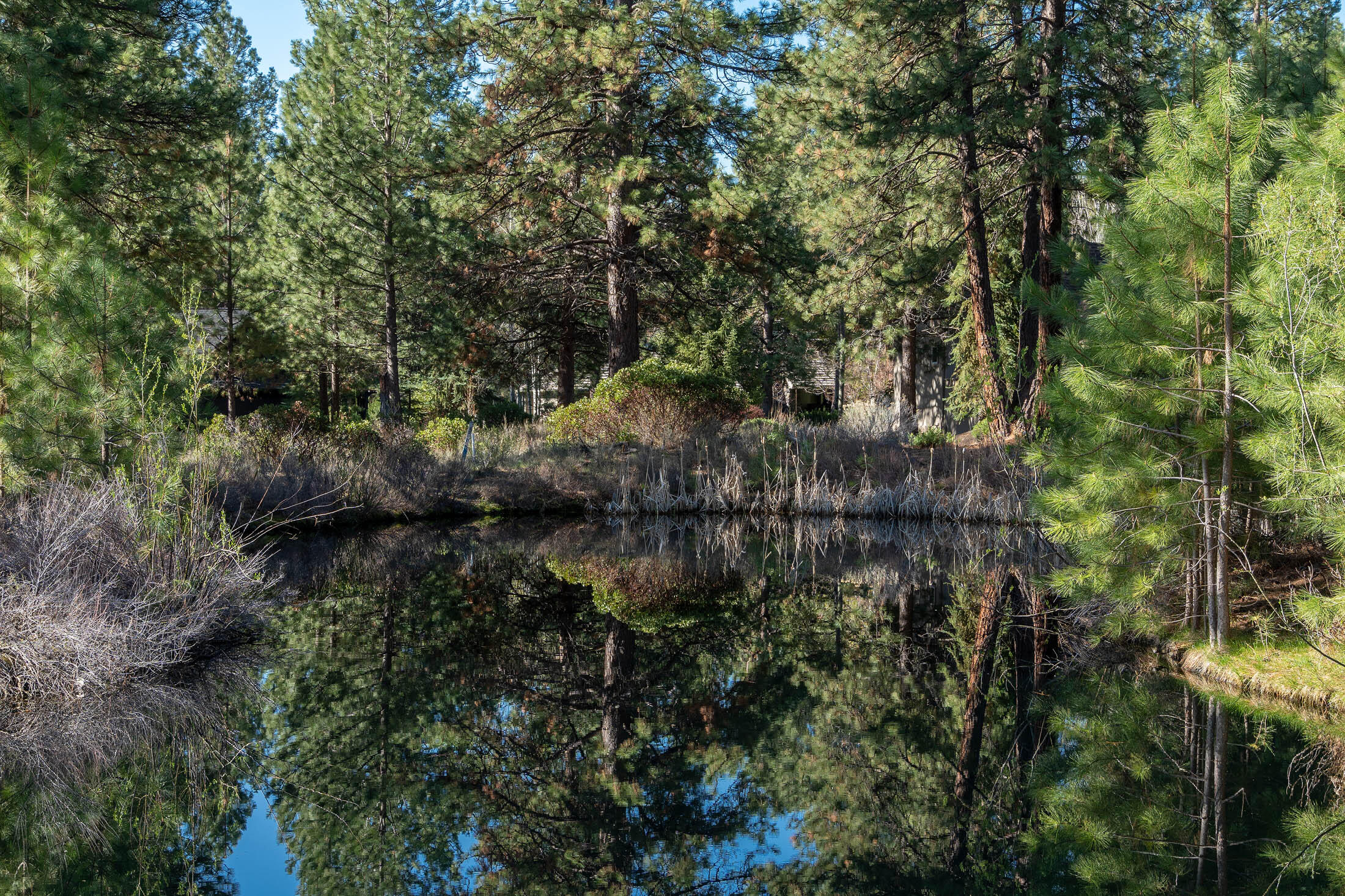 60711 Golf Village Loop Bend, OR 97702 - Photo 18 of 31 Closer view of the north edge of lot beside the pond from the 6th fairway
