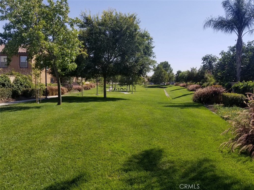 1688 Julia Way Riverside, CA 92501 - Photo 30 of 36 a view of field with trees