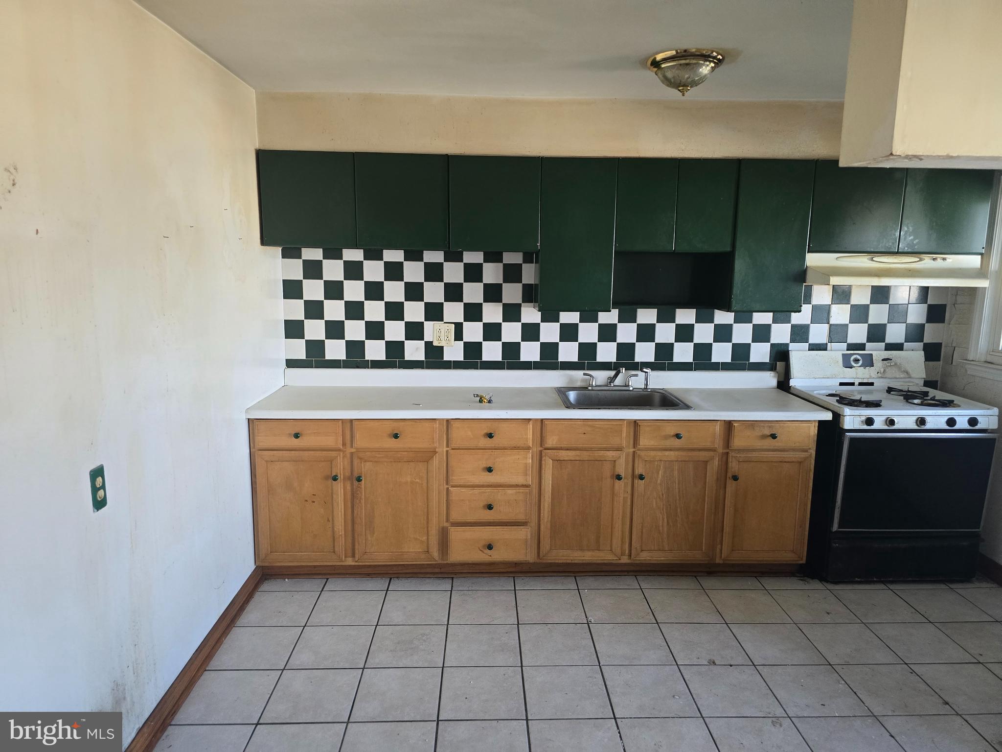 3916 2nd Street Baltimore, MD 21225 - Photo 4 of 15