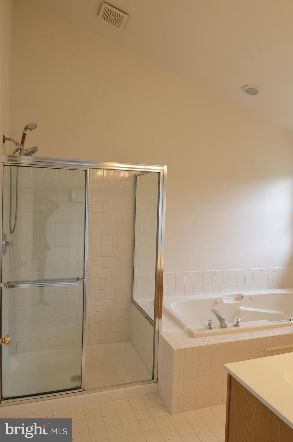 14243 Glade Spring Drive Centreville, VA 20121 - Photo 17 of 30 Ensuite Owner's BA w/Separate Shower