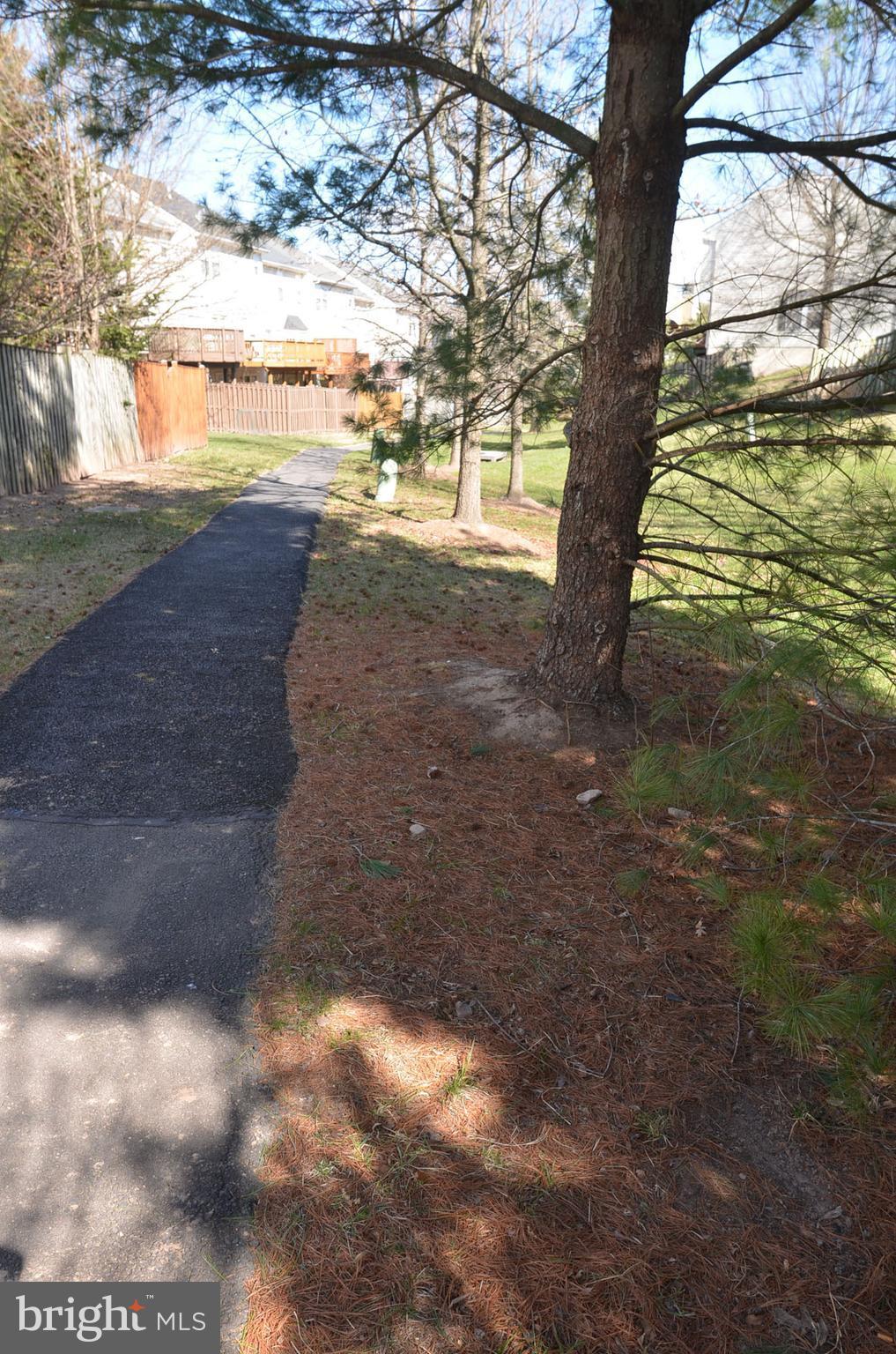 14243 Glade Spring Drive Centreville, VA 20121 - Photo 3 of 30 Backs to Trees and Path