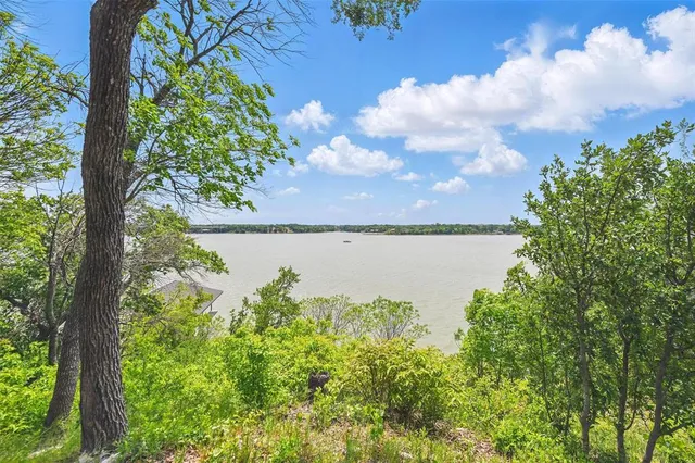 a garden view with a bench