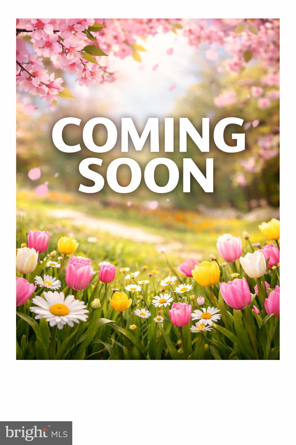 a view of a bunch of flowers