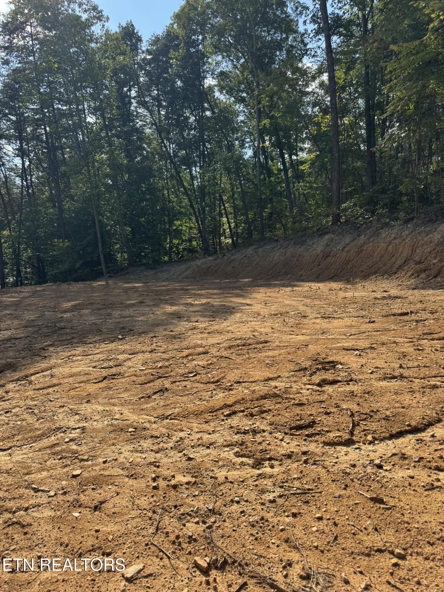 Lot 4 Texas Hollow Road Luttrell, TN 37779 - Photo 1 of 14 IMG_0532