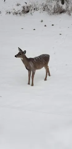 $2,000 | 607 Tamarack Drive West, West Bend, WI 53095