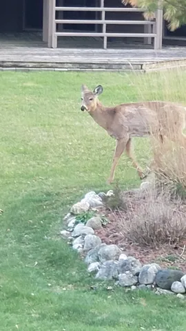 $2,000 | 607 Tamarack Drive West, West Bend, WI 53095