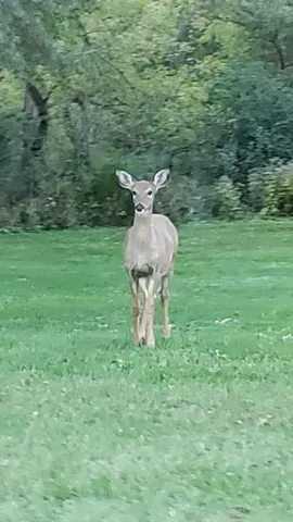 $2,000 | 607 Tamarack Drive West, West Bend, WI 53095