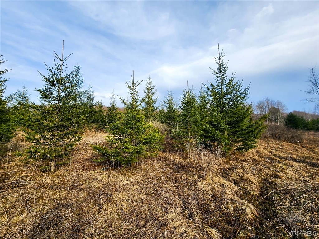 0 Quigg Hollow Road Andover, NY 14806 - Photo 10 of 19