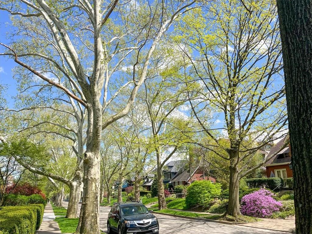 6630 Kinsman Road Pittsburgh, PA 15217 - Photo 37 of 49 Gallery Image 37