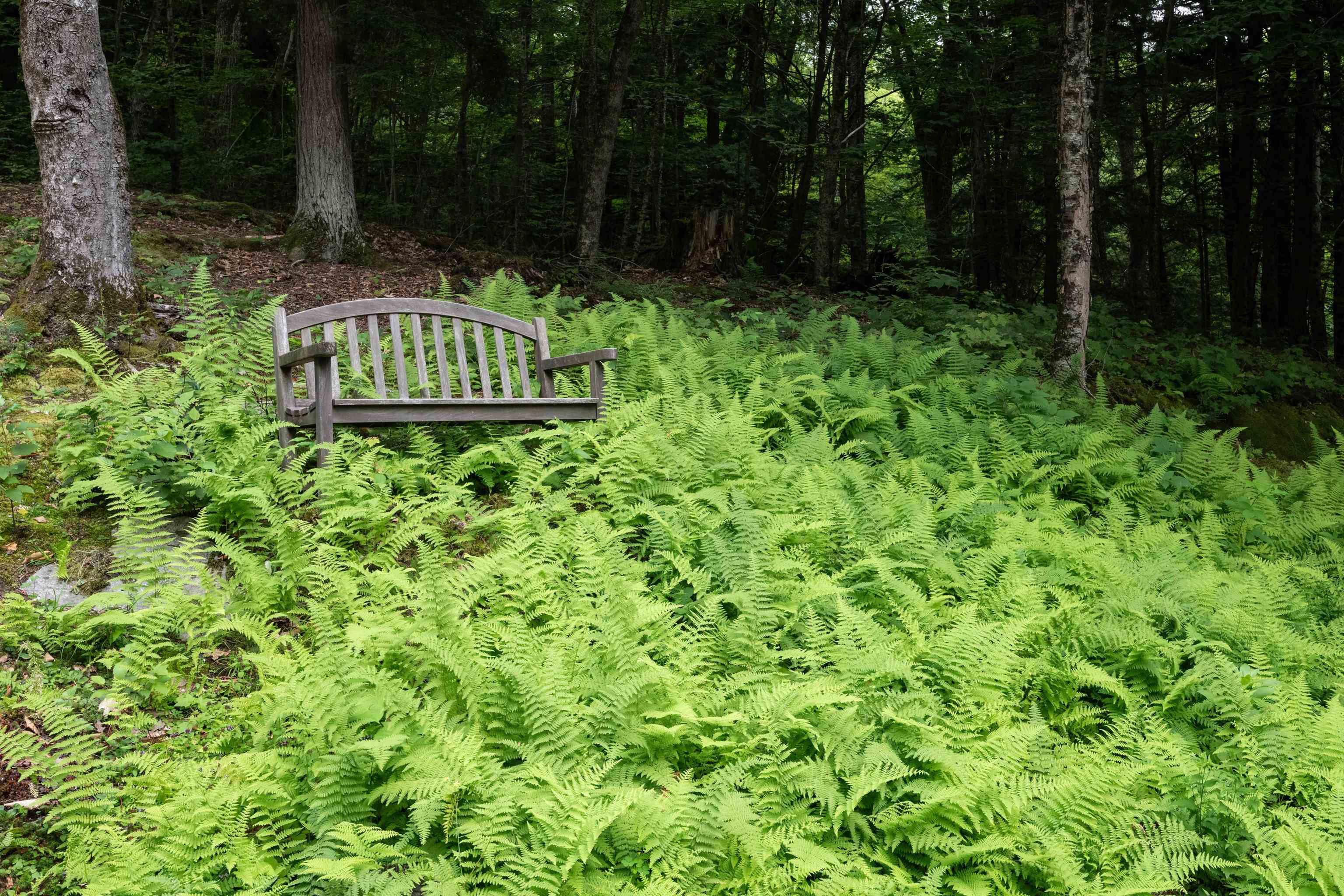 1517 Willard Road Hartford, VT 05059 - Photo 38 of 38 Gallery Image 38
