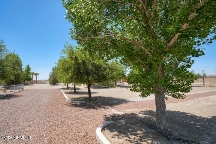 245 Hurt Road Las Cruces, NM 88007 - Photo 11 of 84 11 (Small)