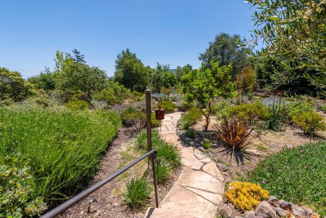 a view of a garden with plants and large trees